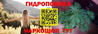 стаф Гусев