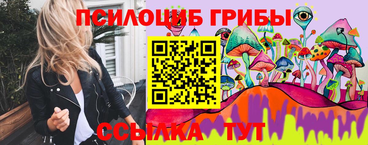 Миасс  Псилоцибиновые грибы мухоморы  Вход с VPN  Галлюциногенные грибы Psilocybe 